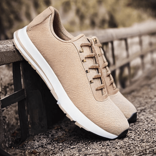 Haastia - Shalom Running Shoes