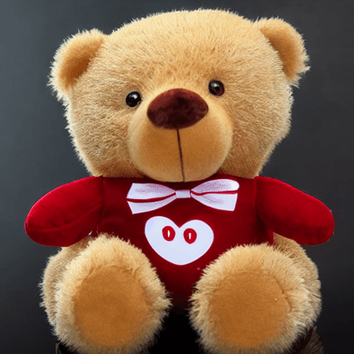 Toysify - Chazten Teddy Bear