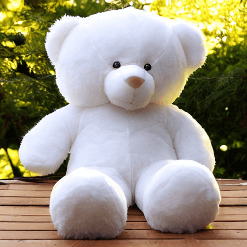 Toysset - Jaydenmatthew Teddy Bear