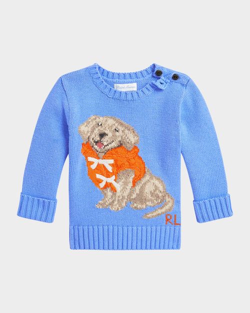 Boy's Graphic Dog Sweater, Size 3M-24M